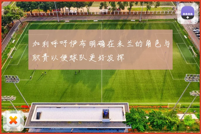 加利呼吁伊布明确在米兰的角色与职责以便球队更好发挥